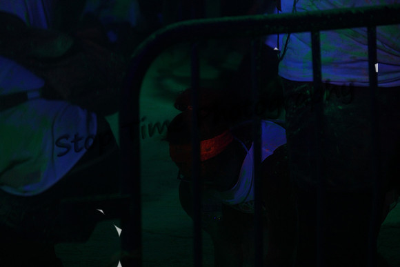 IMG_0123 orig