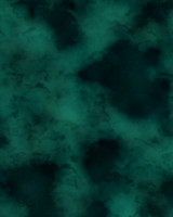 Camoflage