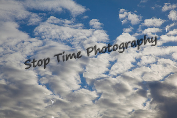 Cumulus