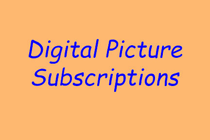 Subscriptions
