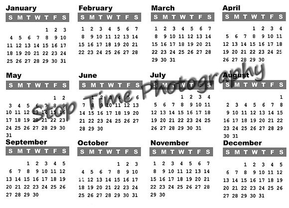 2015-Horizontal