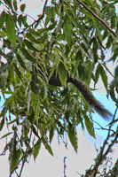 IMG_0003