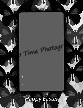 Black-Flutter-Frame