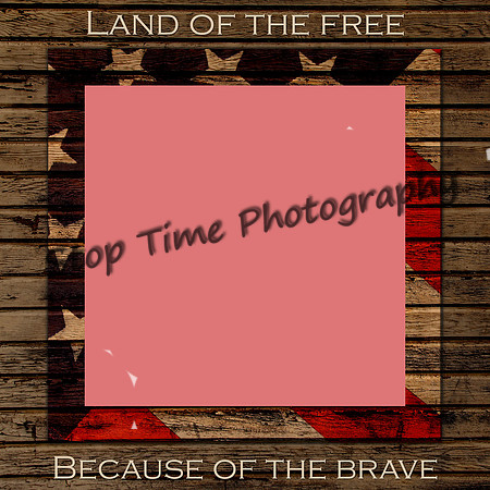 Because-Of-The-Brave