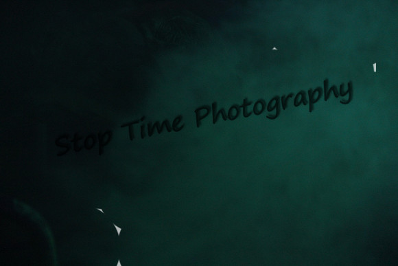 IMG_0055 orig