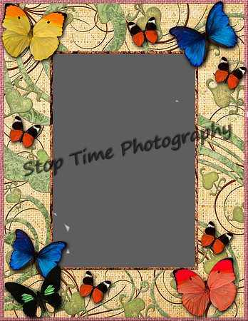 Butterfly-Frenzy-Frame