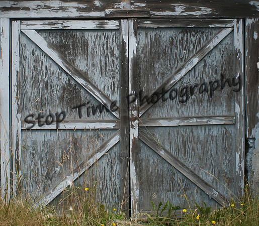 Weathered Door