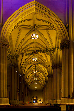 Cathedral Ceiling