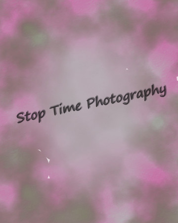Pink Fog