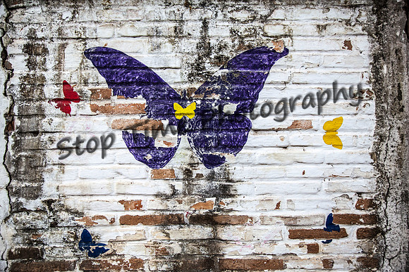 Butterfly-Wall