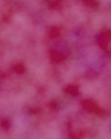 Deep Pink Clouds