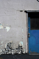 Back Door