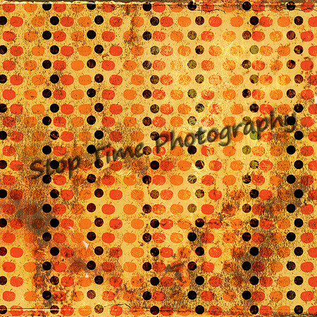 Pumpkin-Spice