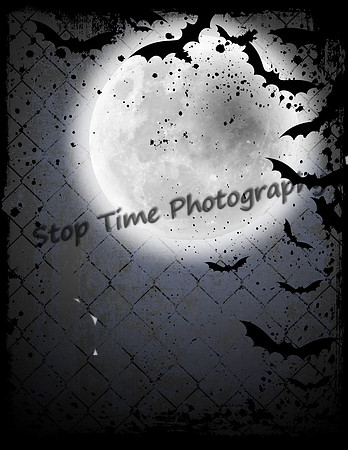 Night-Light