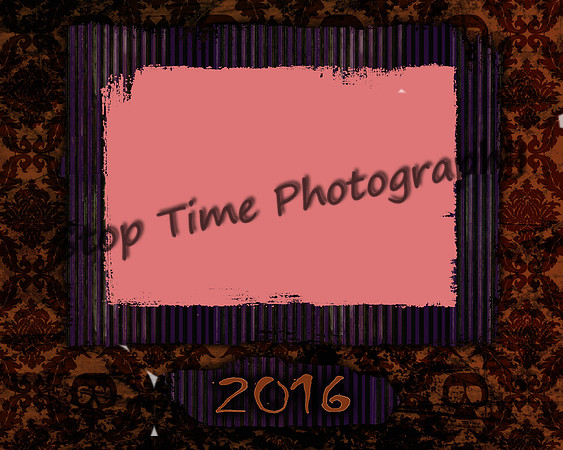 Skull-Damask-Single-Frame