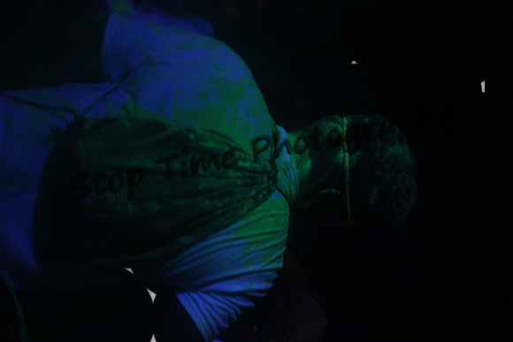 IMG_0175 orig