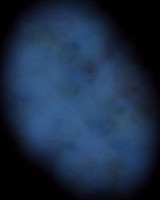 Blue Cameo