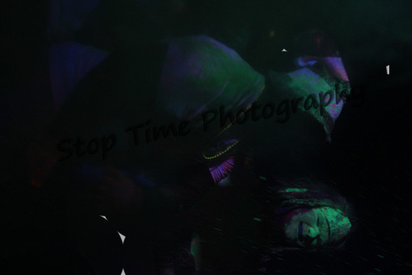 IMG_0172 orig