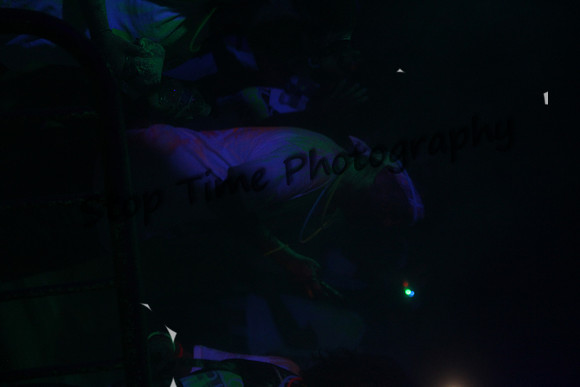IMG_0181 orig