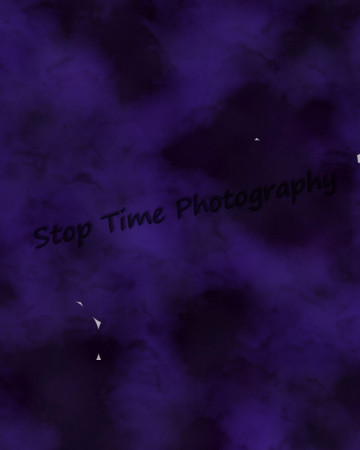 Tie Dye Dark Purple