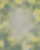 Desaturated Yellow