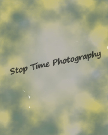 Desaturated Yellow