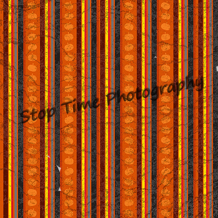 Pumpkin-Stripe