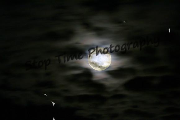 Spooky-Moon