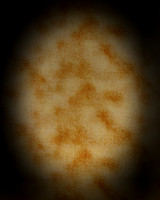 Brown Cameo