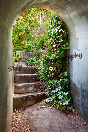 Tunnel Archway