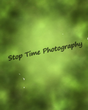 Reverse Vignette