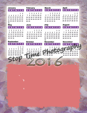 Calendar  (17)
