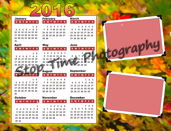 Calendar  (20)