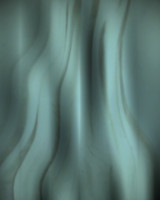 Alien Wall