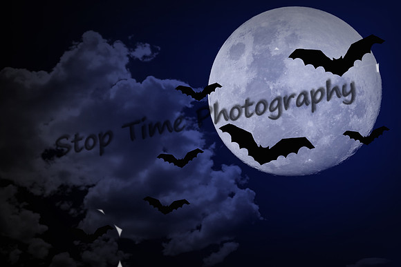 Bats and Moon