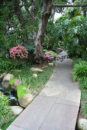 Garden Path