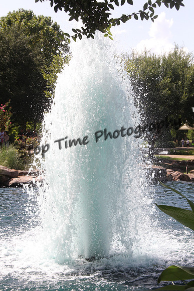 IMG_0020